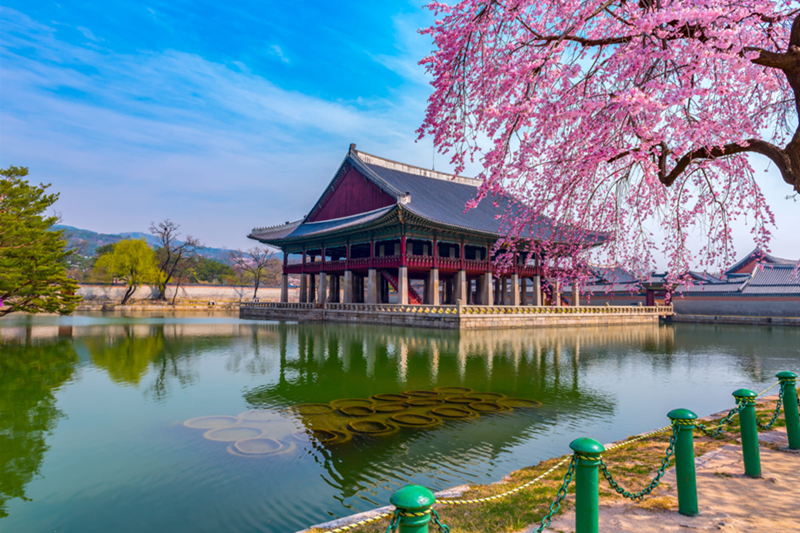 Tour Tết Âm lịch Hàn Quốc | Seoul - Everland - Đảo Nami từ Sài Gòn | 4N4Đ